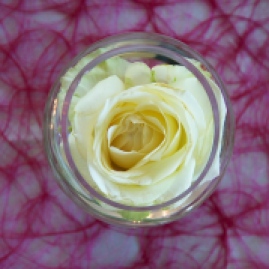 Rose flottante en petit vase boule